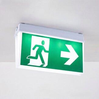 Double-sided surface-mounted emergency lighting - LX005