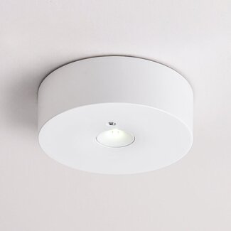Surface-mounted emergency spotlight with two lenses - LX007