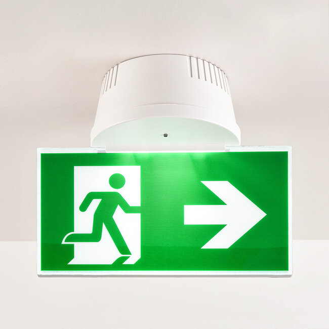 Flush mounted and surface mounted emergency lighting LXL-MM