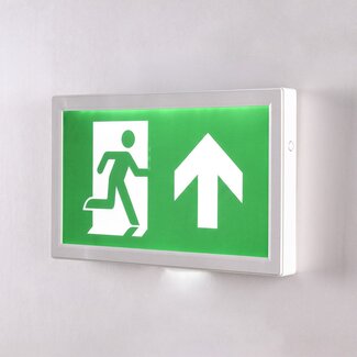 Surface-mounted emergency lighting LI-BAK