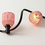 Festoon set including shades in pink rattan look with 1W LED bulbs