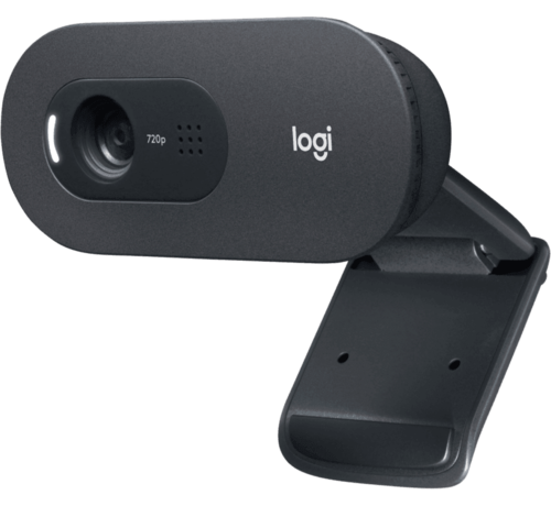 Logitech C505e Webcam 1280 X 720 Pixels Usb Zwart Groenendal It 
