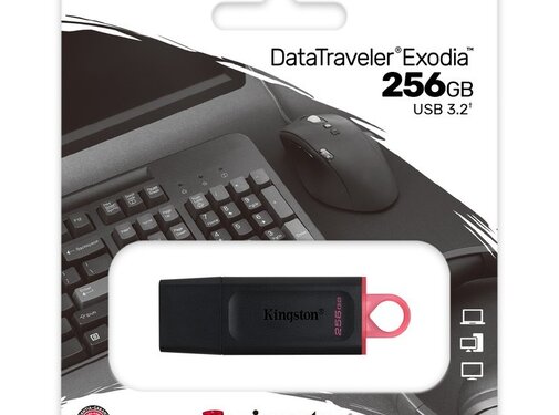 Kingston USB 3.2 FD 256GB Kingston DataTraveler Exodia