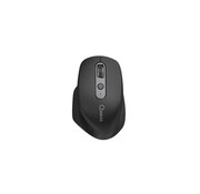 QWARE QWARE Wireless Ergo Mouse York Black