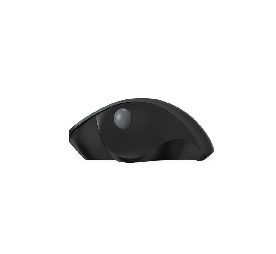 QWARE Wireless Mouse Luton Black