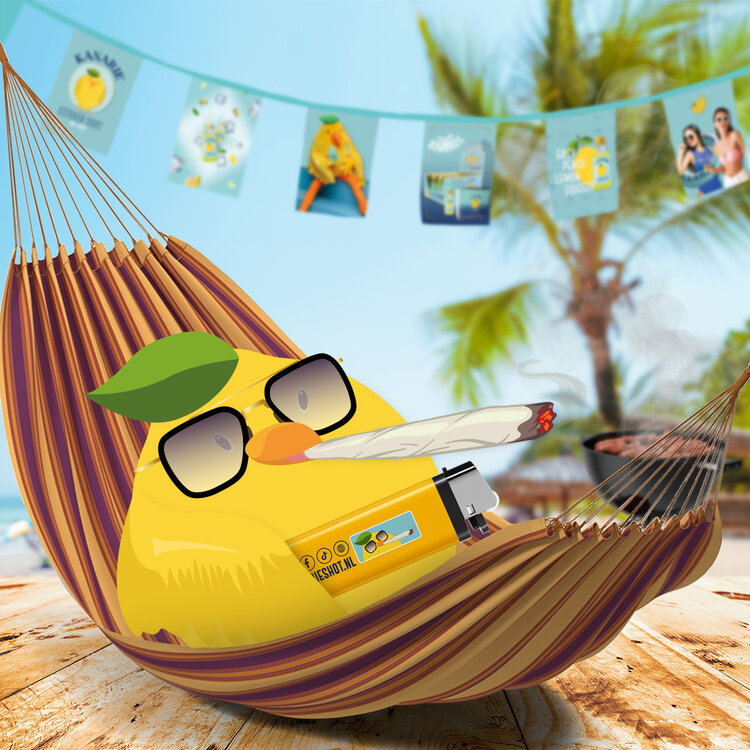 Kanarie® 10 Kanarie Aanstekers