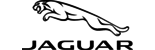 Jaguar Jaguar