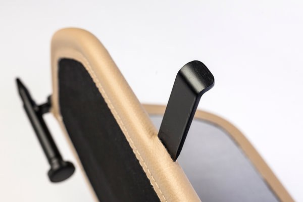 Lexus Windscherm Lexus SC 430 beige Lexus Windscherm Lexus SC 430 beige