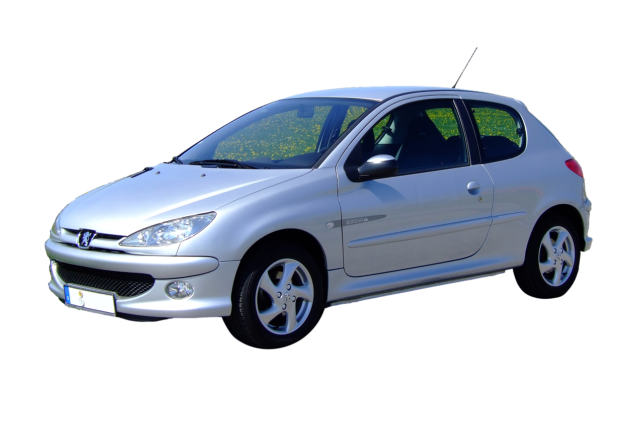 Peugeot Peugeot 206 schroefset verlagingsset Peugeot Peugeot 206 schroefset verlagingsset