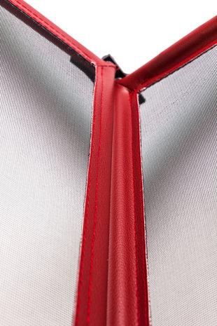 Jaguar Windscherm Jaguar XK rood Jaguar Windscherm Jaguar XK rood