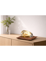 Bertil Vallien  Kosta Boda Brains  - Mind Set