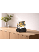 Bertil Vallien  Kosta Boda Bertil Vallien - House Gold