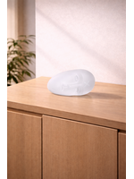 Bertil Vallien  Kosta Boda Brains 'You are the light'