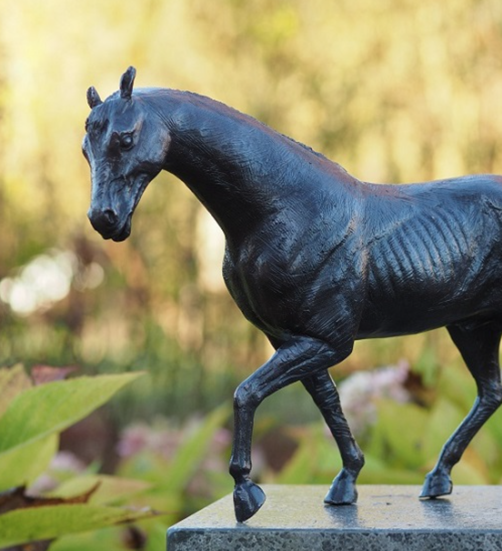 Horse statue bronze - H24 cm