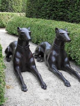 Honden beelden Dobermann