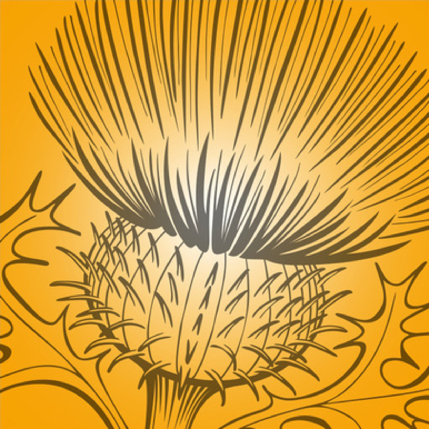 Findhorn Essences Voice confidence druppels - Findhorn