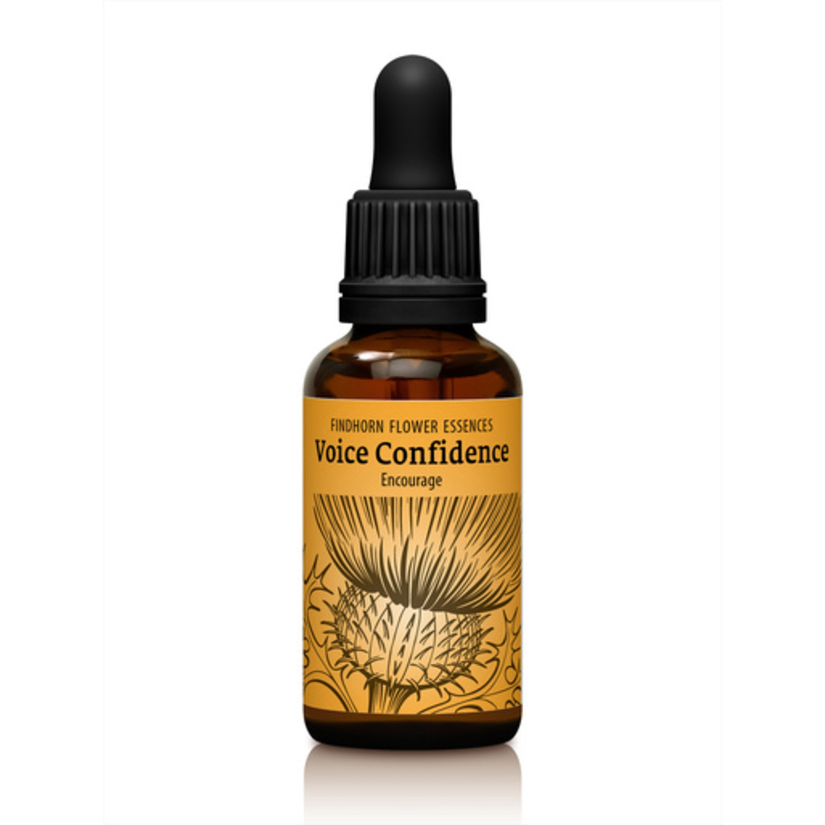 Findhorn Essences Voice confidence druppels - Findhorn