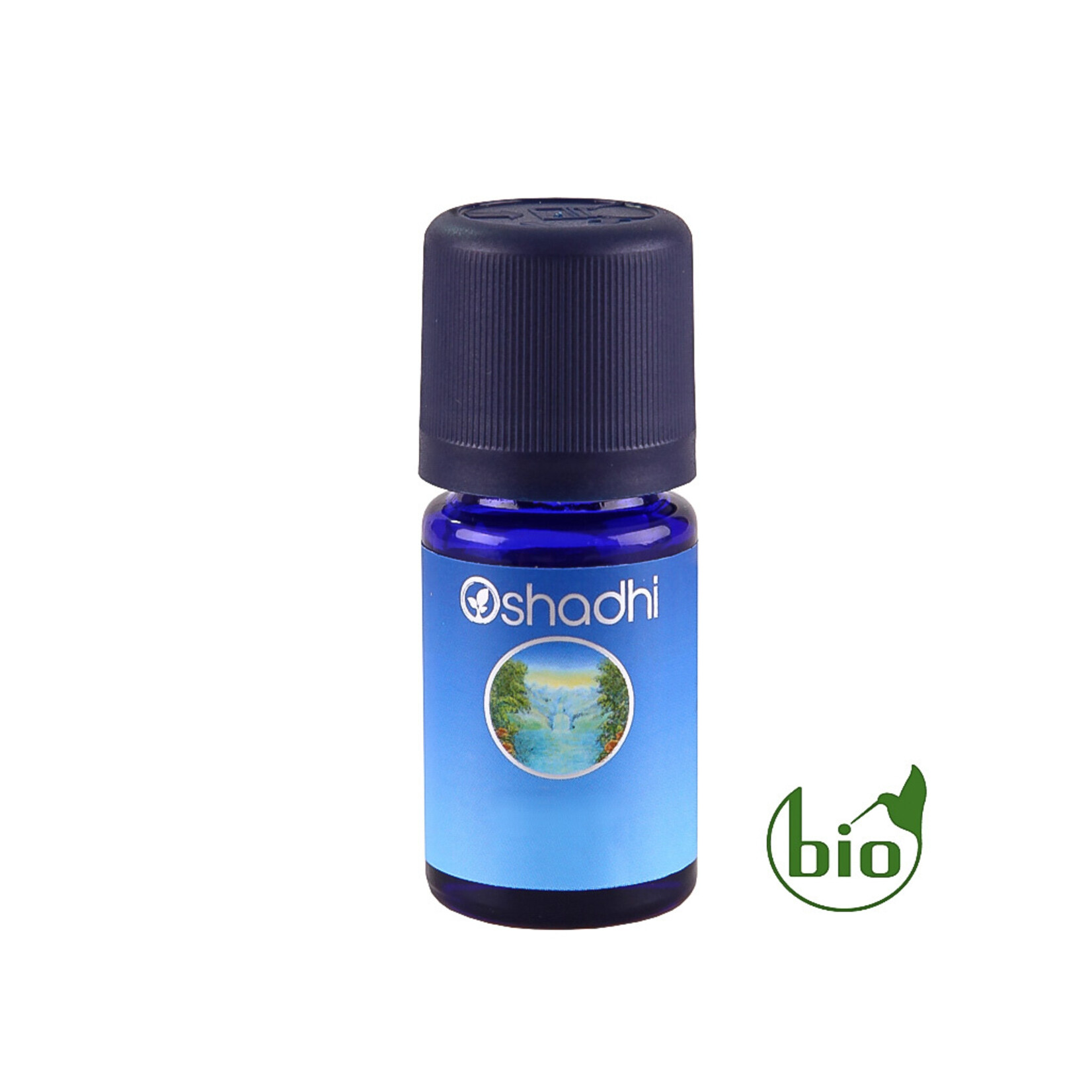 Oshadhi Kruidnagelknop 5ml BIO
