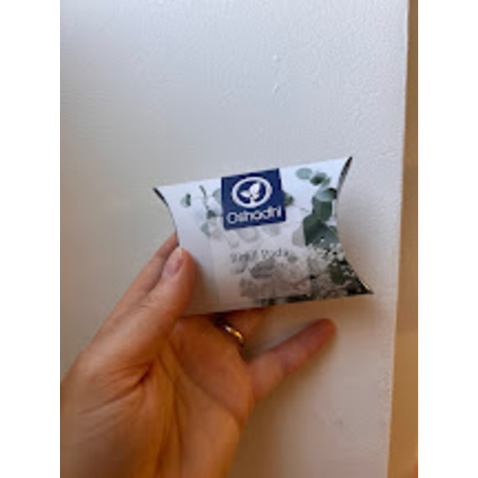 Vervangpads voor Ambiance Diffuser (10 st.)