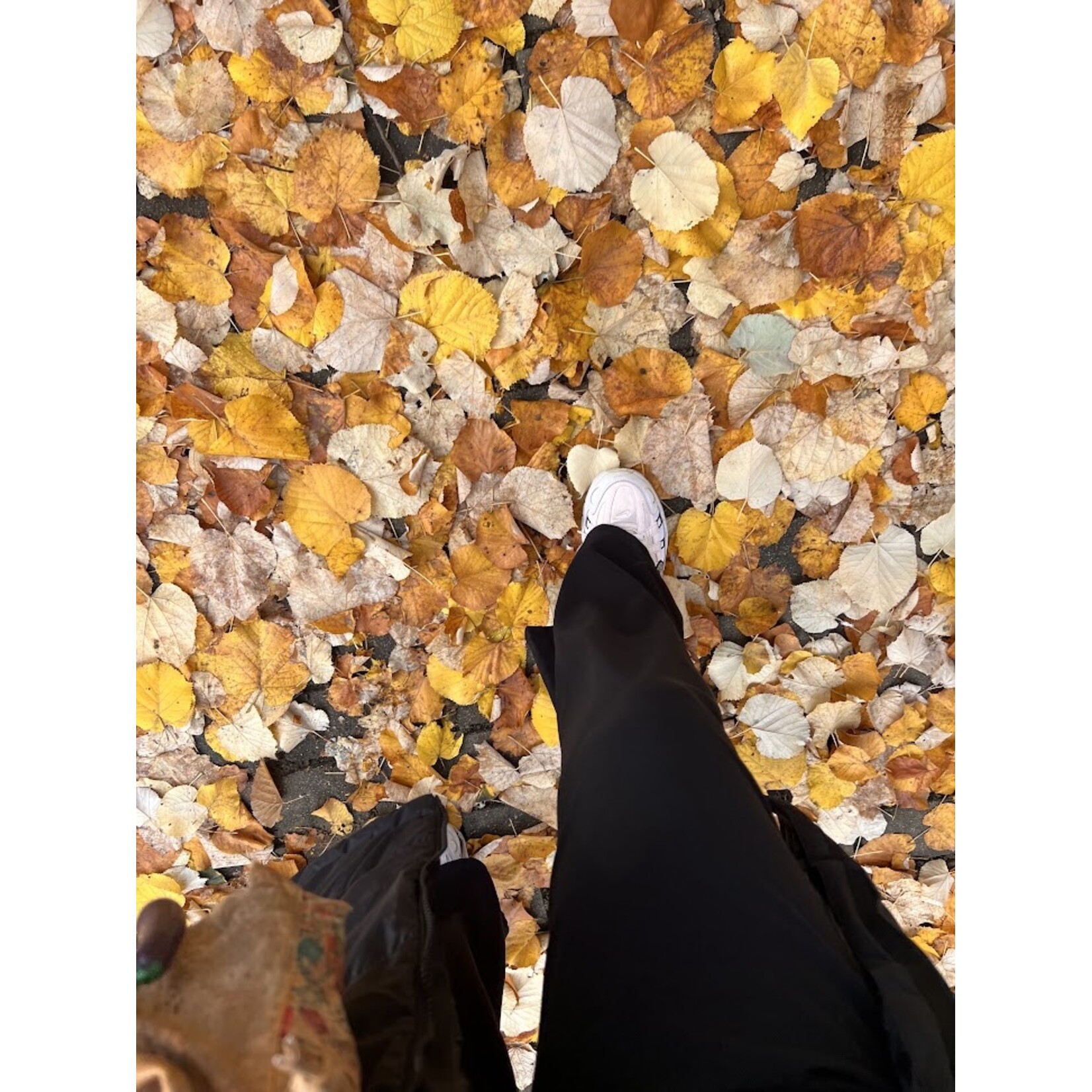 Eindejaarsmagie belevingsdag - 13 december