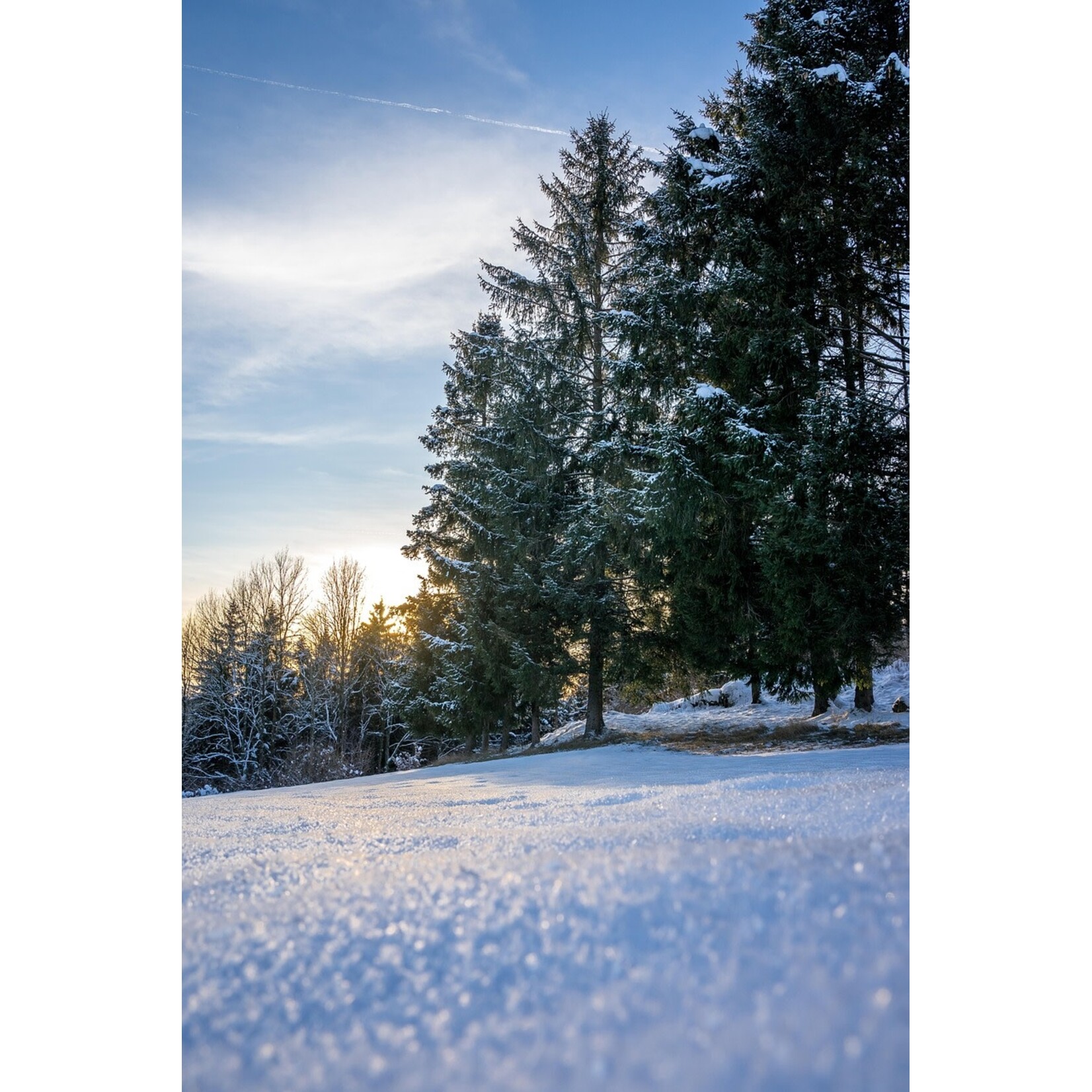 Winter belevingsdag -  7 februari