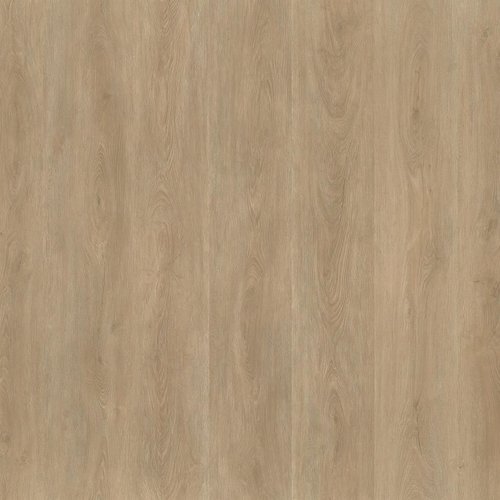 Ambiant Robusto dryback naturel Ambiant Robusto dryback naturel