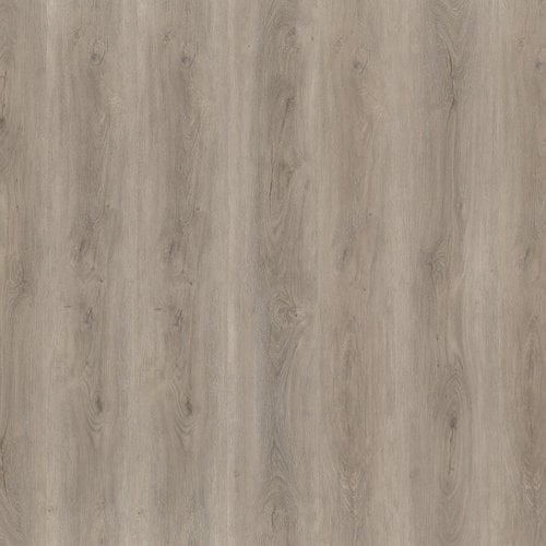 Ambiant Robusto dryback light grey