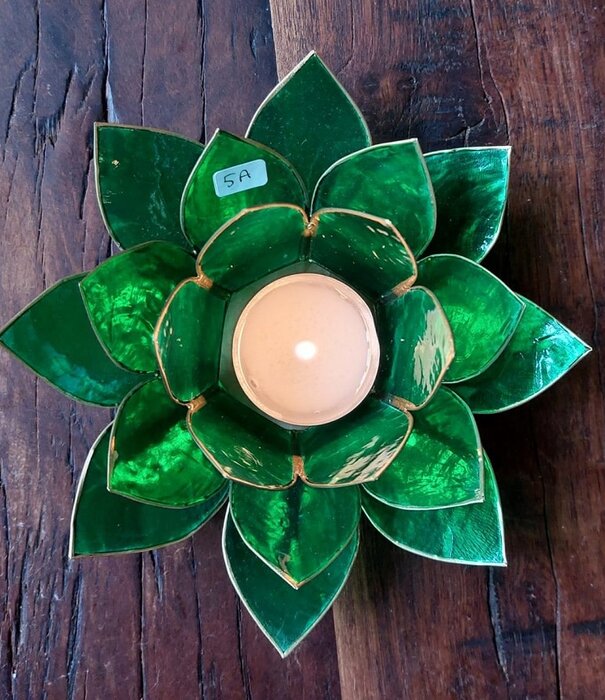 Lotus sfeerlicht 5a groen