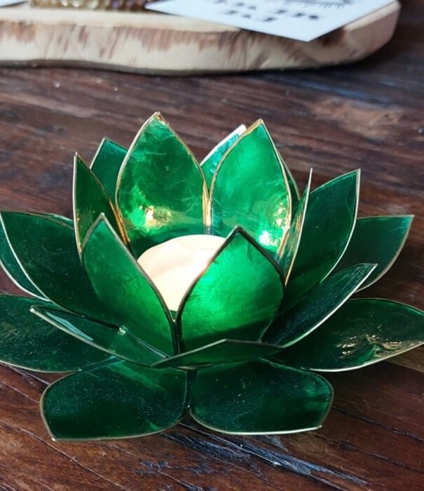 Lotus sfeerlicht 5a groen