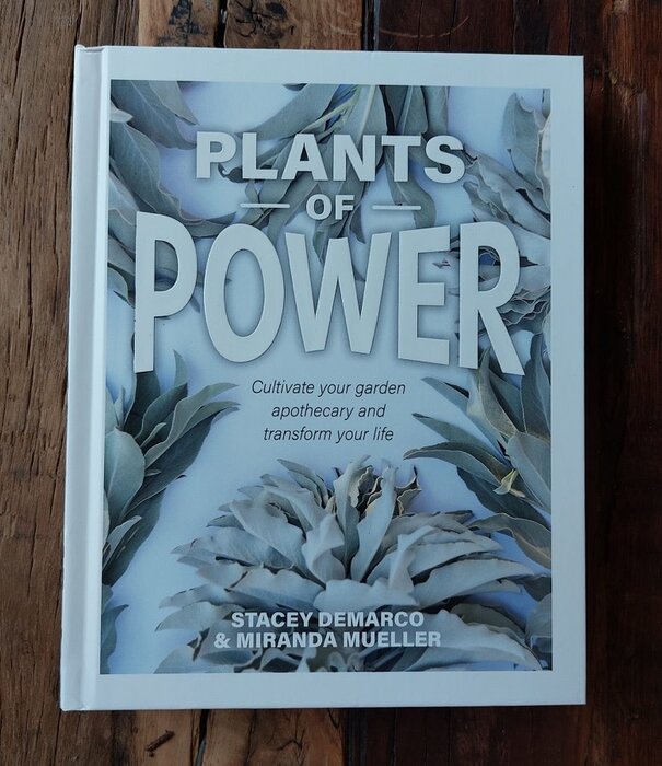 boek Plants of Power - Stacey DeMarco