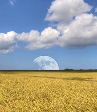 volle maan ritueel 6 Maan van het zaaien van het mais