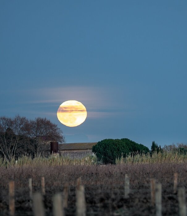 volle maan ritueel 8 Maan van de rijpende bessen