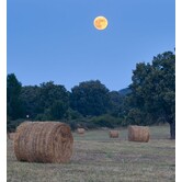 volle maan ritueel 9 Maan van de oogst binnen halen