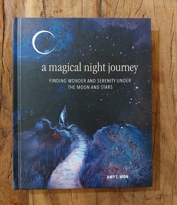 boek - a magical night journey