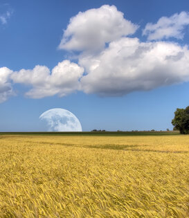 volle maan ritueel 6 Maan van het zaaien van het mais (1e keer)