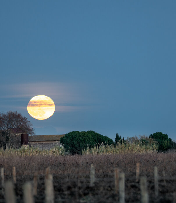 Copy of volle maan ritueel 8 Maan van de rijpende bessen