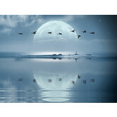 Copy of volle maan ritueel 10 Maan van de vliegende eenden (1e bezoek)