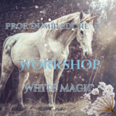 workshop - Dumbledore's White magic 6 jan