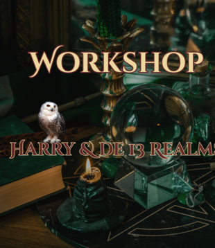 workshop - Harry & the 13 Realms 25 nov