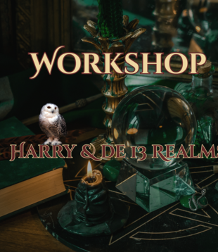 workshop - Harry & the 13 Realms 9 dec