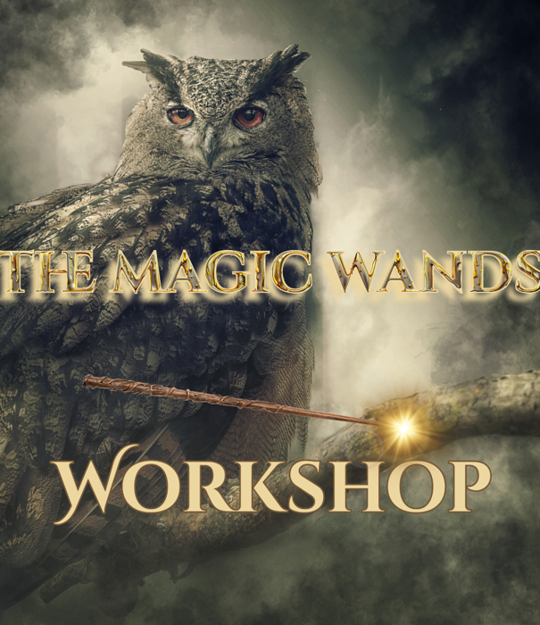 workshop - Magic Wands 2 dec