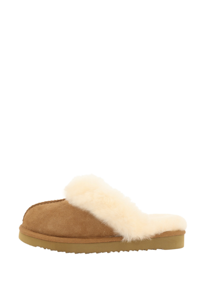 Furry Slides