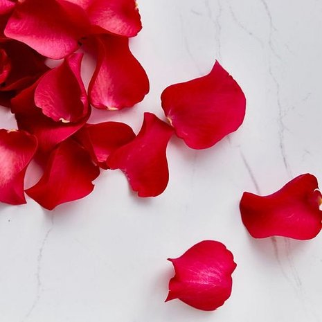 Jane Scrivner Rose Gold Oil Jane Scrivner Rose Gold Oil