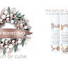 Jane Scrivner The Gift Of Glow Jane Scrivner The Gift Of Glow