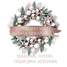 Jane Scrivner The Gift Of Late Night Cleansing Jane Scrivner The Gift Of Late Night Cleansing