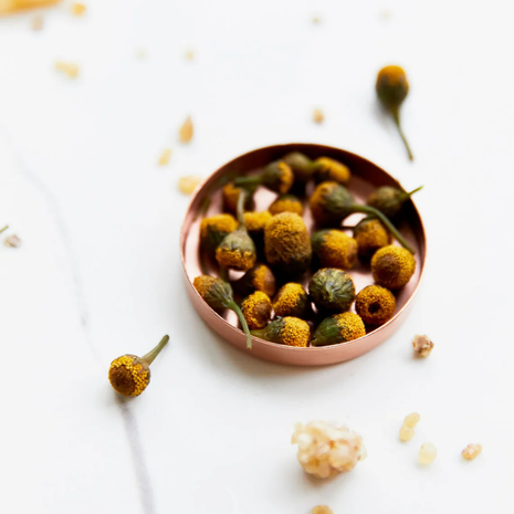 Jane Scrivner Bioluronic Buzz