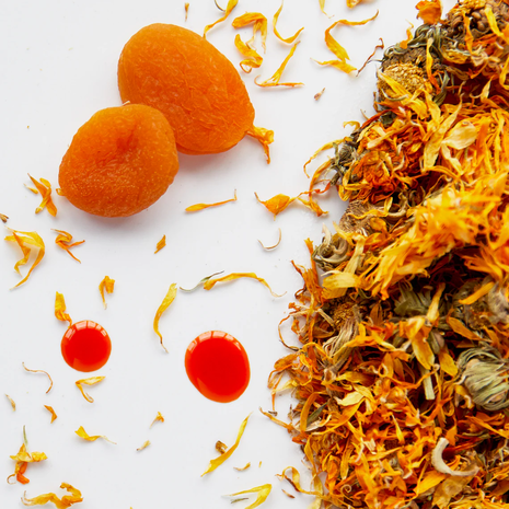 Jane Scrivner Expert Eye Duo #2