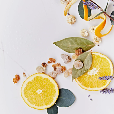 Jane Scrivner PEACE    Body Splash Oil - Salon