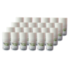 24 refills Flybusters Spray (250 ml)