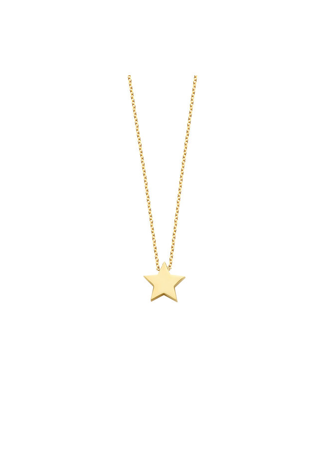 Ashes Necklace Star Small